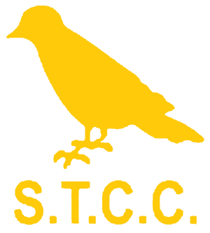 Southport Trinity Cricket Club Logo